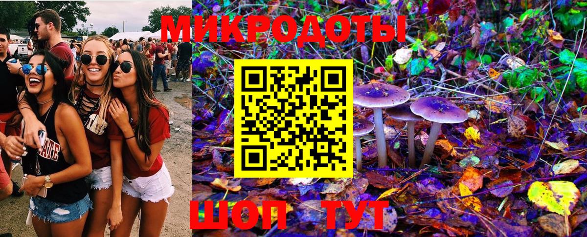 Галлюциногенные грибы GOLDEN TEACHER Казань