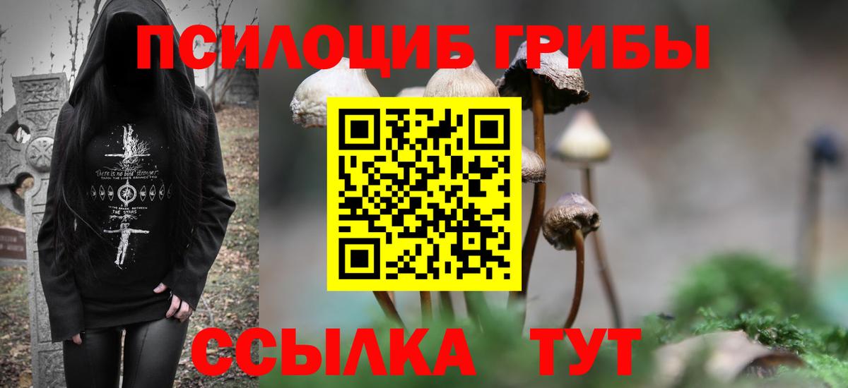 Галлюциногенные грибы Psilocybe  Вход с VPN  Галлюциногенные грибы ЛСД  Казань 